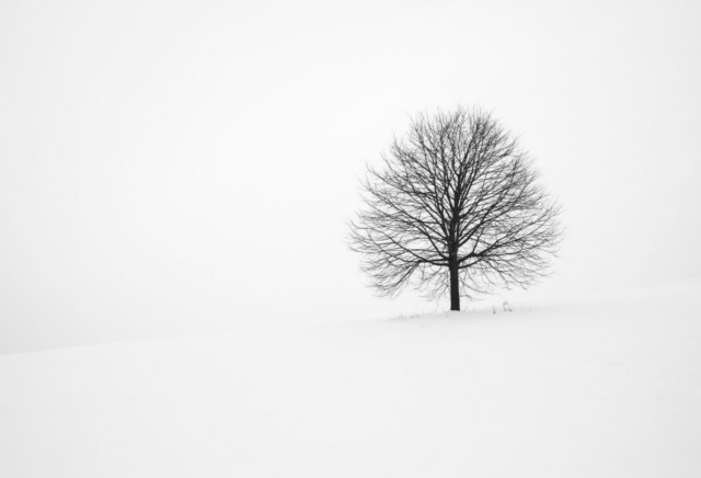 Benefits of Headless Commerce teaser image